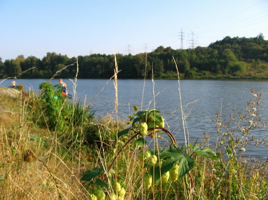 Kanoistika Poděbrady